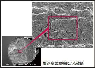 金属組織状態 SEM 分析(破断面)