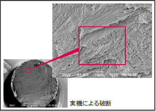 金属組織状態 SEM 分析(破断面)